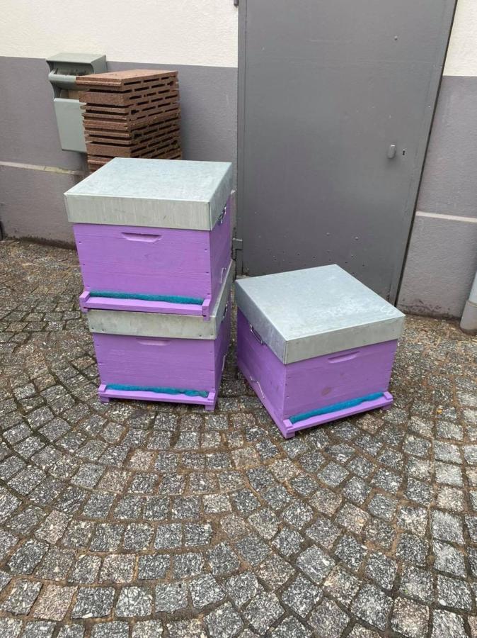 Mercure Centre Epinal